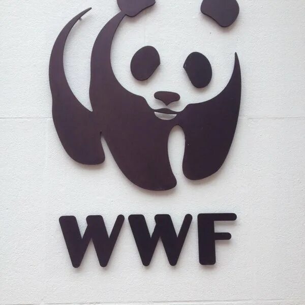 The world wildlife fund is. Всемирный фонд дикой природы WWF России. Эмблема WWF Всемирного фонда дикой природы. Всемирный фонд охраны природы. Знак WWF Панда.