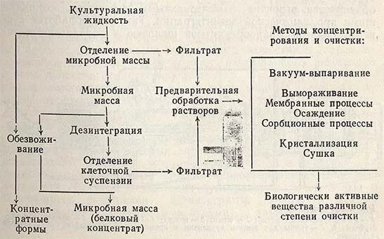 Введение 7 страница - Лекциопедия