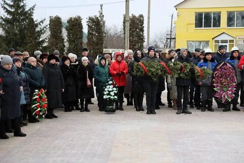 Воловский липецкий
