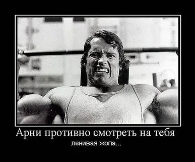 Зачем тебя я полюбил арни