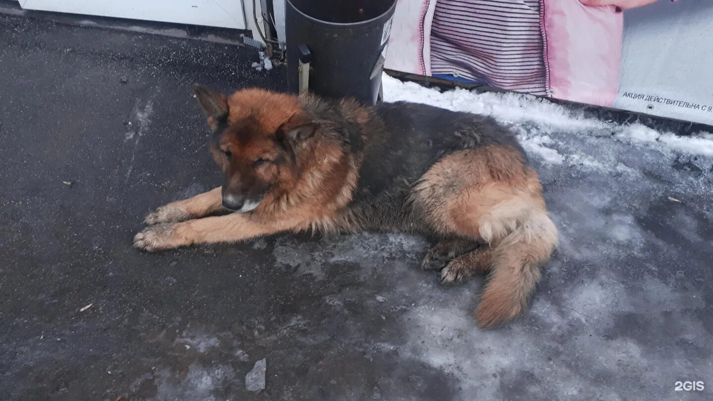 такси гурьевск кемеровская область номер. такси бумер. такси гурьевск кемеровская область. номера таксистов. номер для вызова такси город бельцы.
