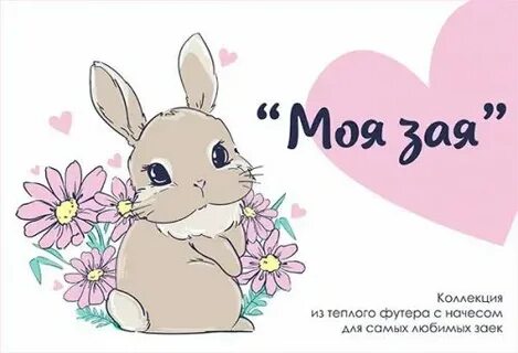 Ах ты моя зая почему