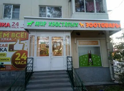Мир хвост
