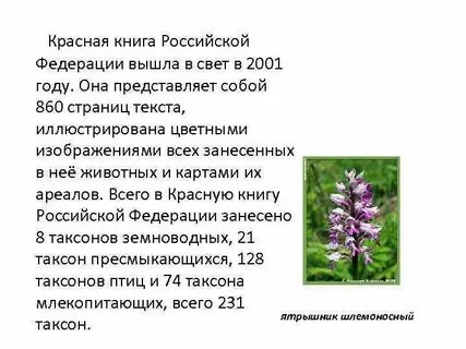 Презентация красная книга нашего края