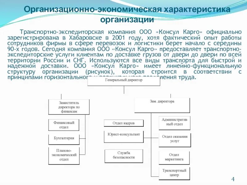 Организационно экономическая россия