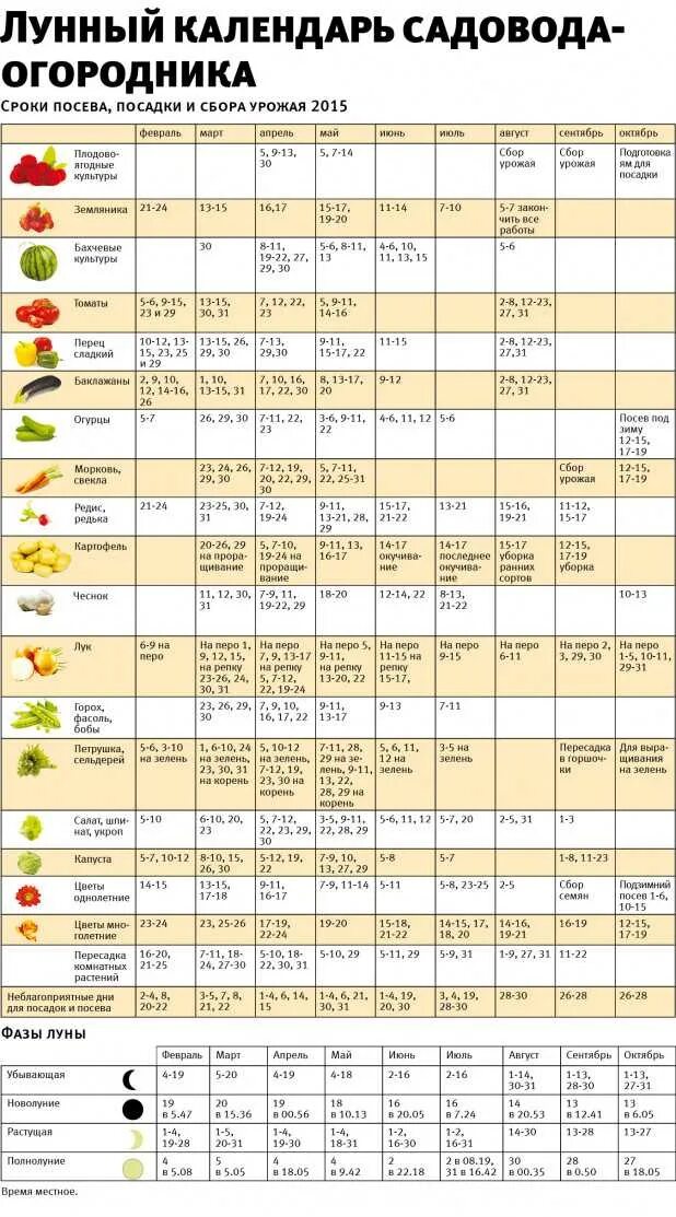 Посевной лунный календарь огородника и садовода таблица. Удачные дни для посадки рассады в марте 2021. Таблица посадки семян. Таблица благоприятных дней посадки овощей.