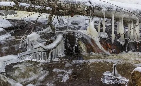 Жизнь март вода