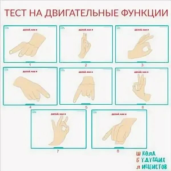 Двигательные тесты и результаты. К тестам двигательные функции кисти относят:. тест двигательной функции кисти. к тестам двигательной функции кисти относят тест. умные точки пособие.