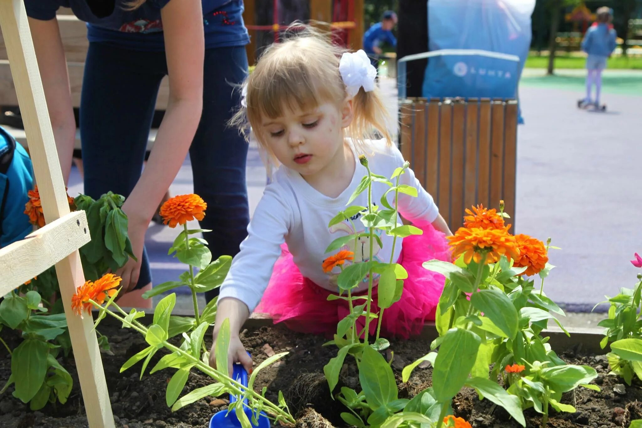 Огород для детей. Дети сажают цветы. Цветы которые садят в детском саду. Дети высаживают цветы в детском саду. Дети вырастили цветы