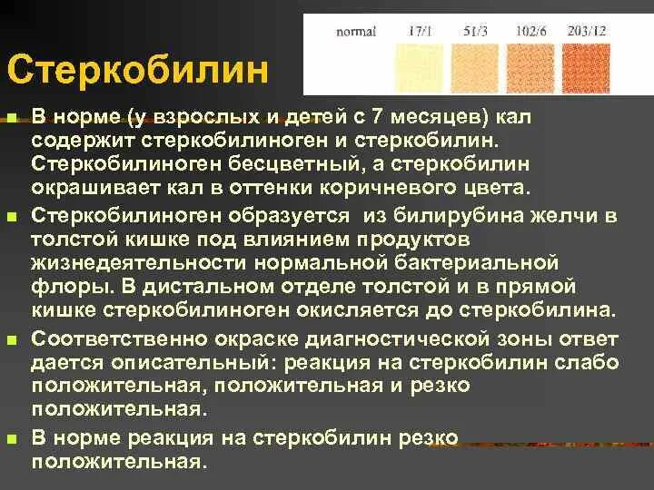 Анализ кала на стеркобилин. Стеркобилин в Кале положительный. Норма стеркобилиногена в Кале. Стеркобилин в Кале положительный у взрослого. Реакция на билирубин положительная