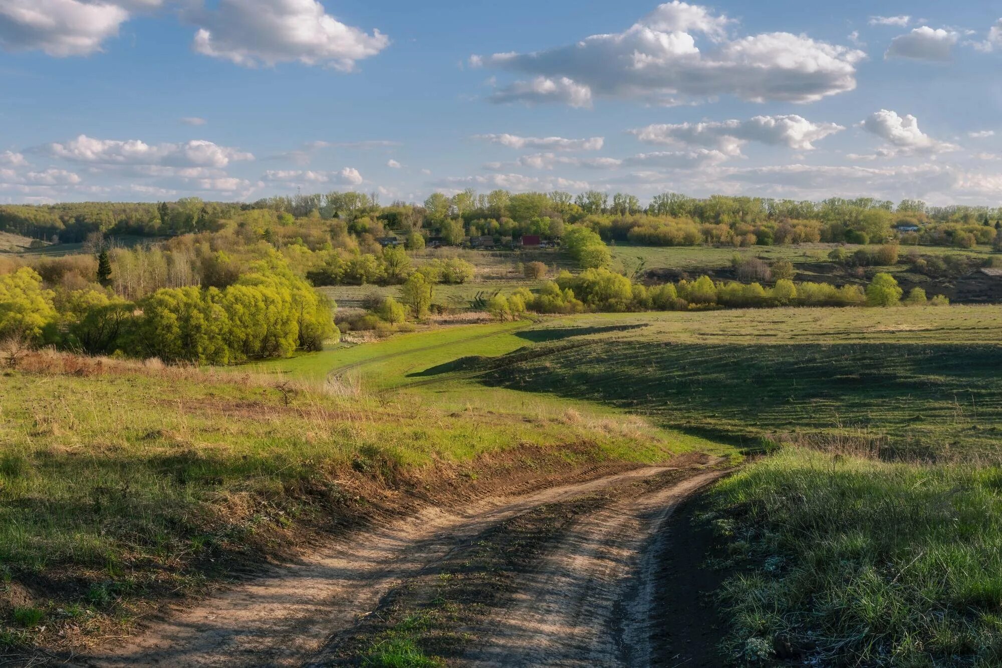 Просторы Тульской области. Природа тульского края. Природа Тульской Тульской области-. Ясногорск Тульская область пейзажи поля.. Картинки тульская область