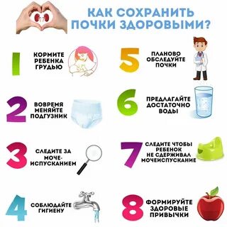 Как сохранить почки здоровыми? AnnaMama