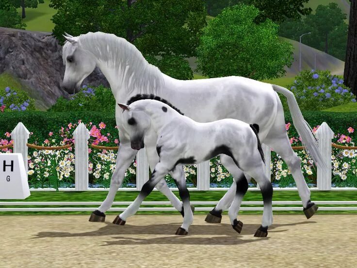 Как сделать лошадь в симс 4. The sims 4 питомцы лошади. симс 3 питомцы лошади. the sims 3 pets лошади. симс 3 питомцы лошади породы.