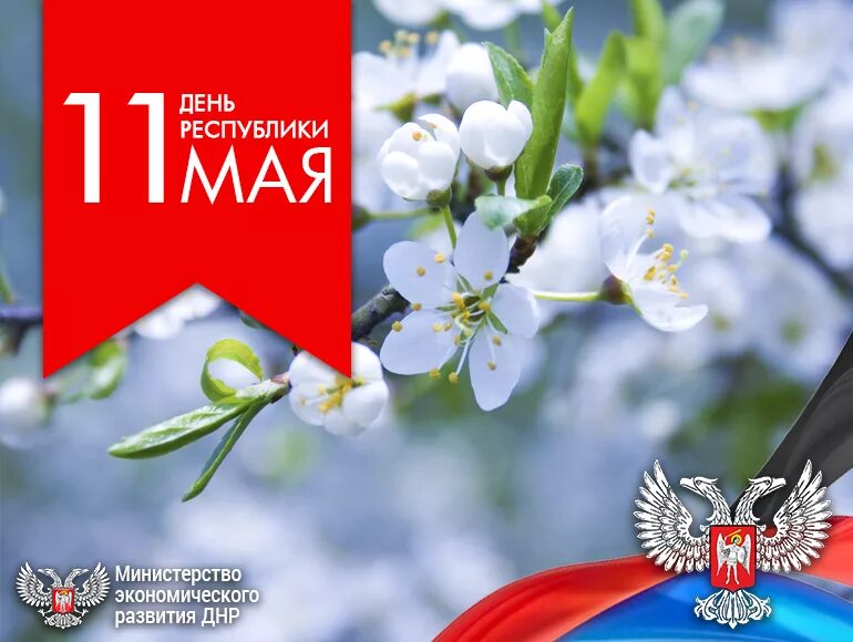 8 9 10 11 мая. 11 Мая. День Республики ДНР. С днем Республики ДНР открытки. 11 Мая день Республики.