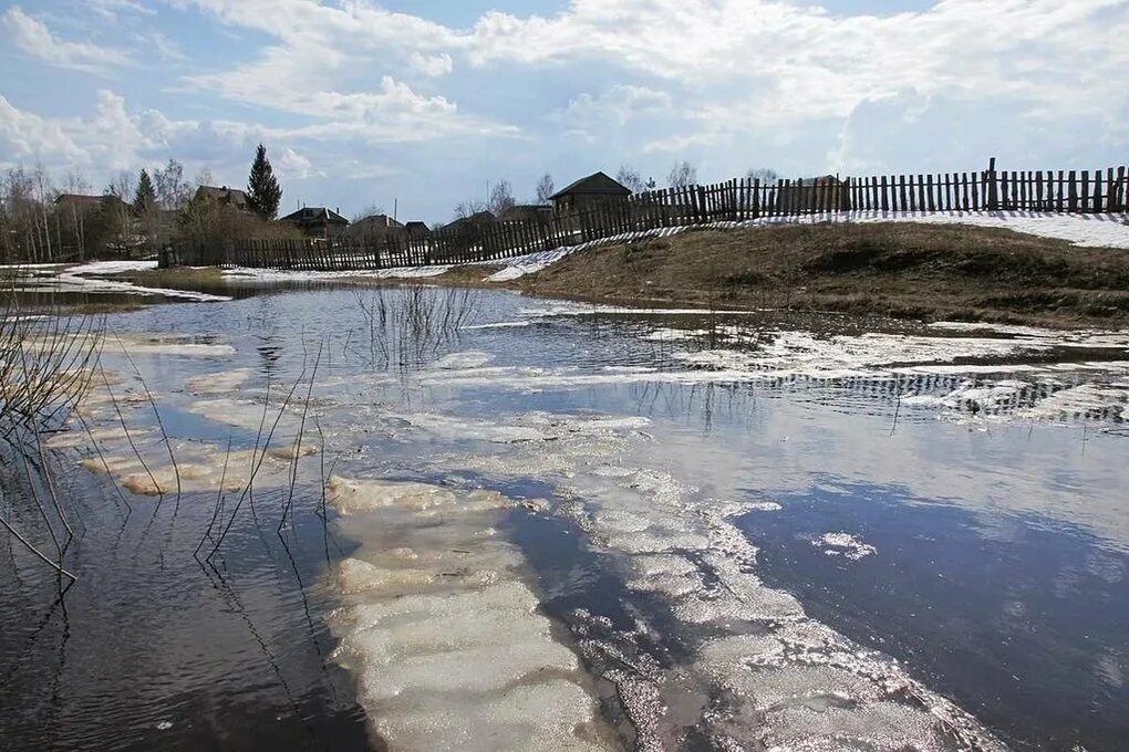 Вода выходит с реки. Половодье Мещера. Разлив реки зубцов Тверская область. Река рейка Тверь. Река Нетесьма.