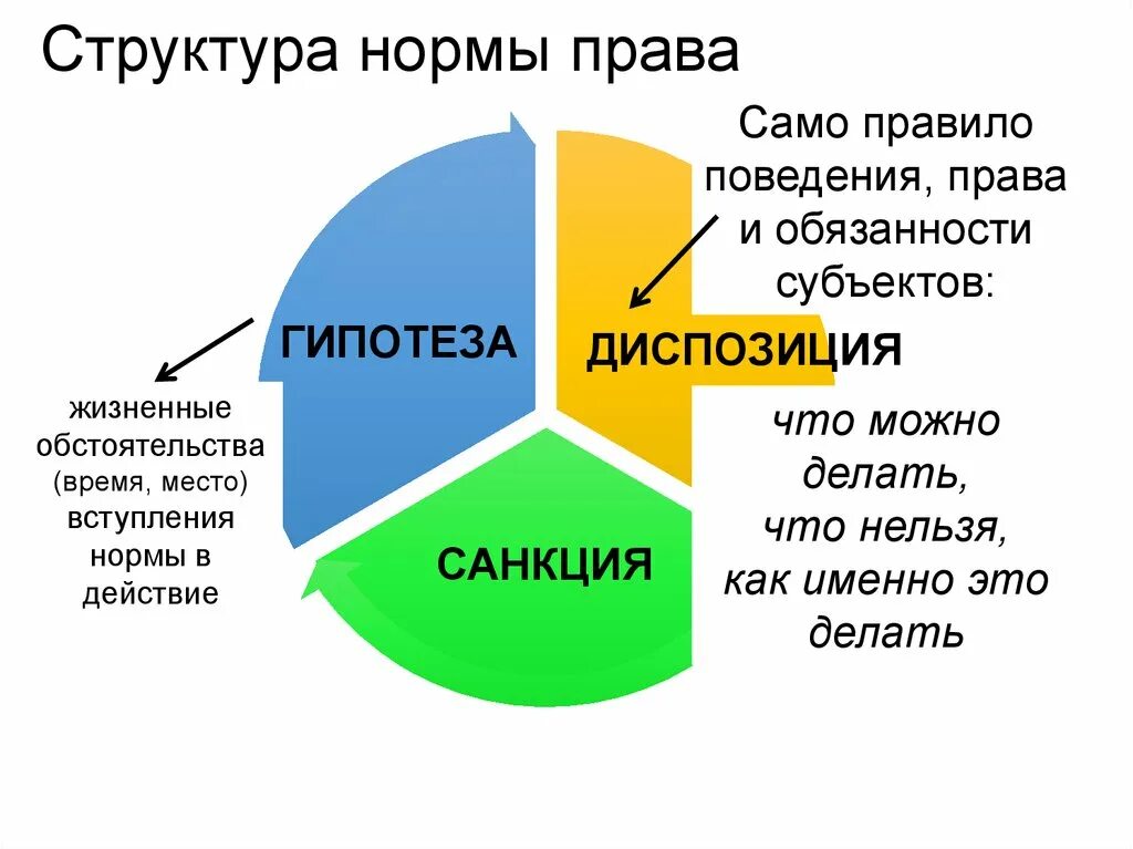 Структура норм правил поведения. Ооо право норм