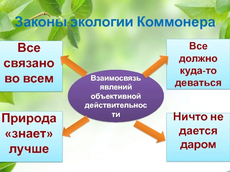 Законы природы определение