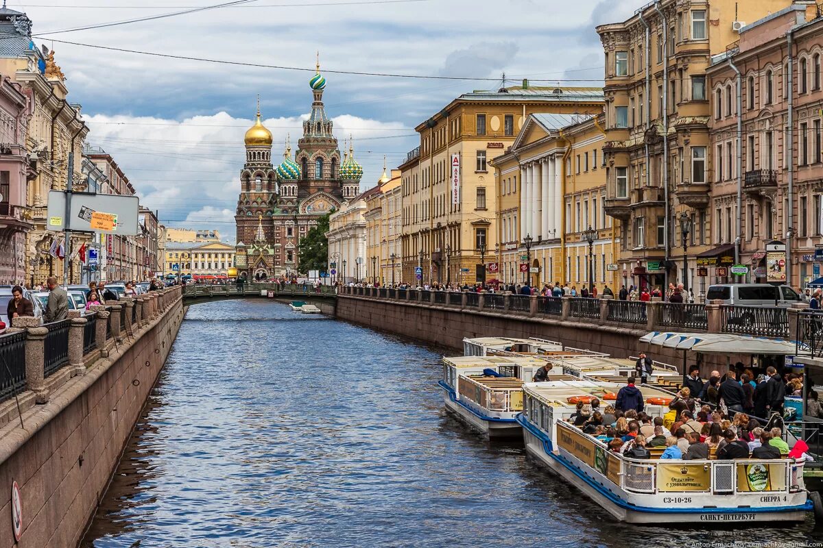 Петербург виды деятельности