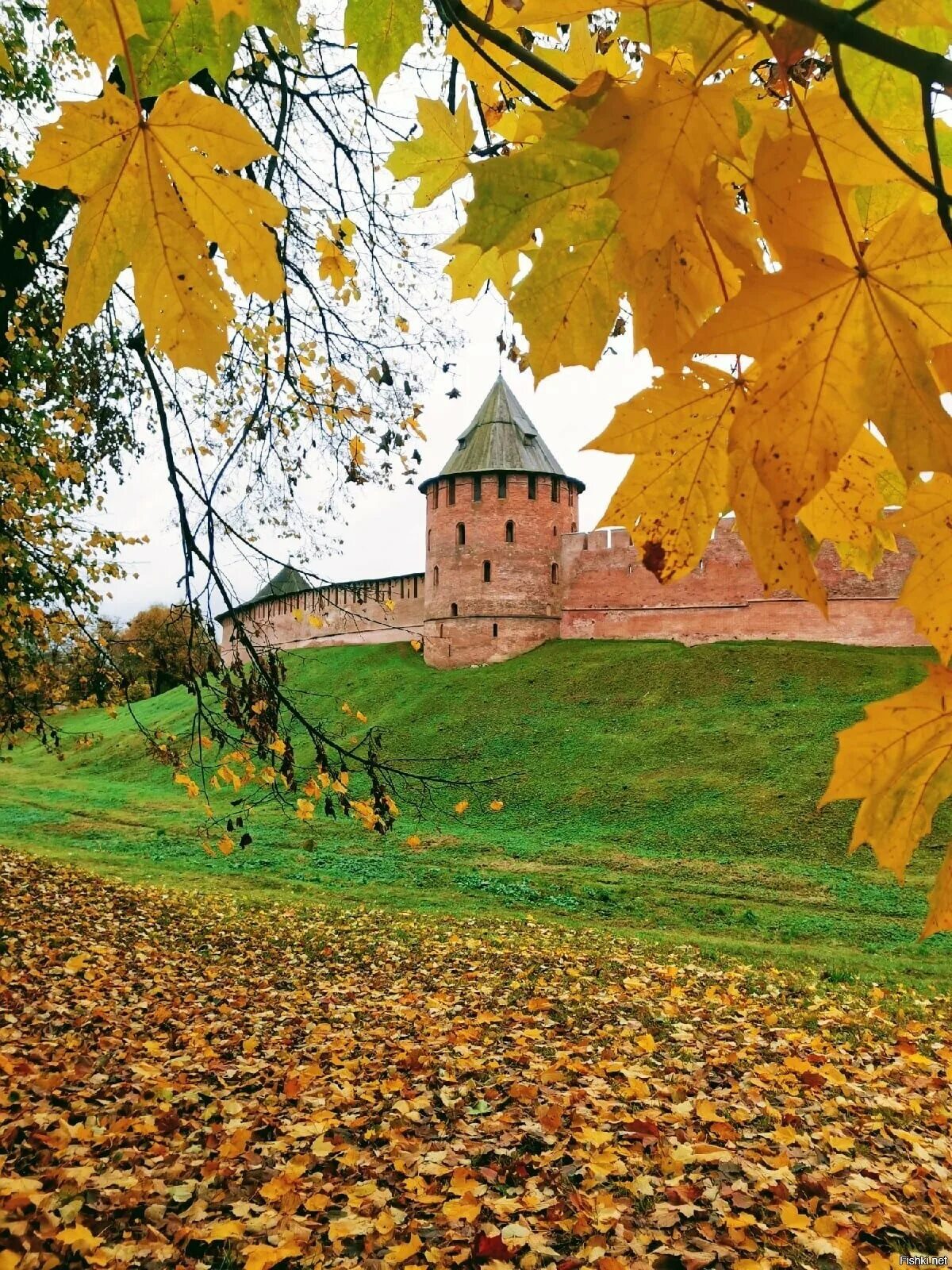 Великий Новгород осень. Великий Новгород осенью. Новгородская осень. Осень в России. Осень сайт великого новгорода