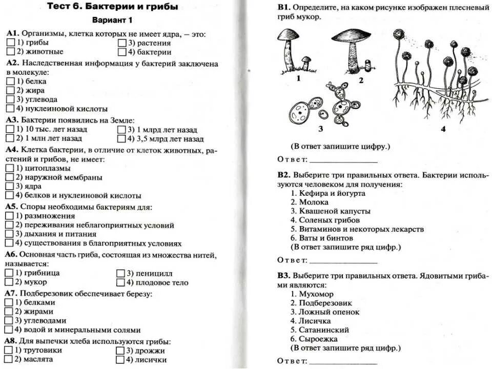 Контрольная по биологии 7 класс бактерии. Проверочные работы по биологии 5 класс по теме царство грибов. Тесты по биологии 5 класс с ответами Пасечник. Тест по биологии 5 класс за 3 четверть с ответами. Проверочные работы по биологии 5 класс Пономарева ФГОС.