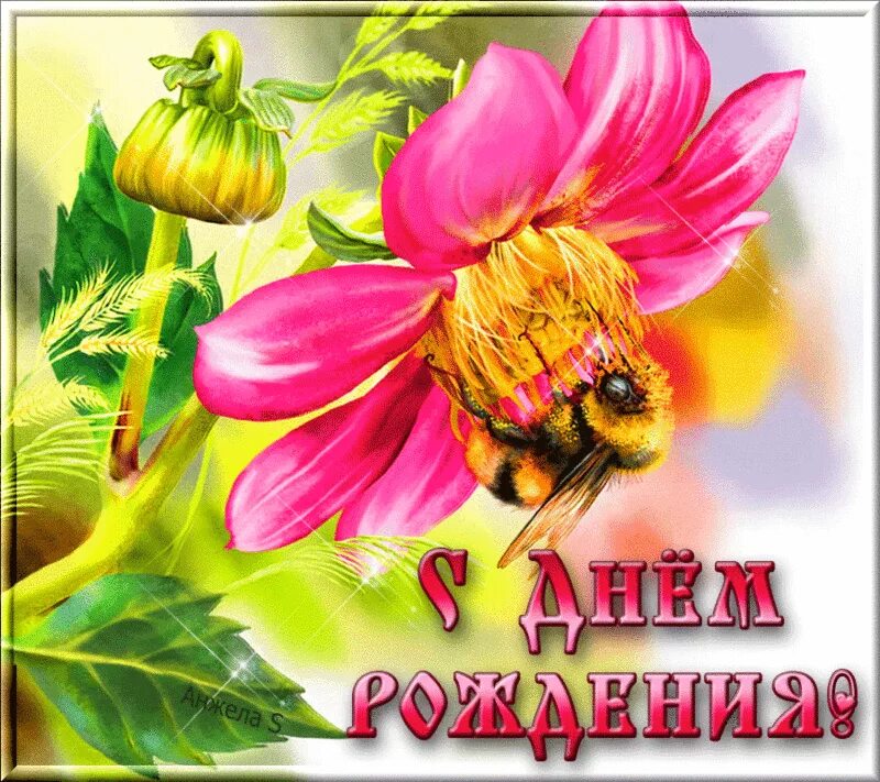С днем рождения женщине майе. С днём рождения майя. открытка с днем рождения май. с днём рождения майя открытки. с юбилеем майя открытки.
