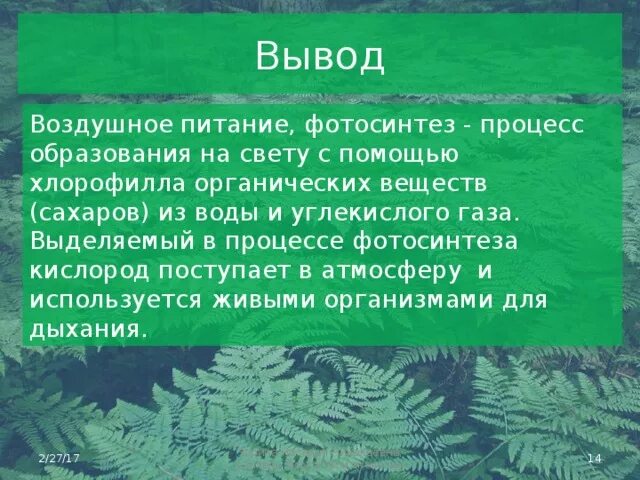 Минеральное питание растений схема. Воздушное питание и почвенное питание растений. Воздушное питание растений фотосинтез. Конспект на тему воздушное питание растений фотосинтез. Доклад на тему питание растений.