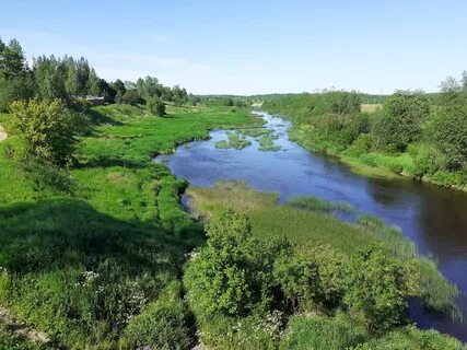 Речка гладкая