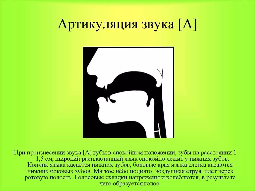 Артикуляция произношения звука и. Артикуляционный уклад гласных звуков. Артикуляционный профиль звука с. Артикуляция звука с. Профили артикуляции звуков.