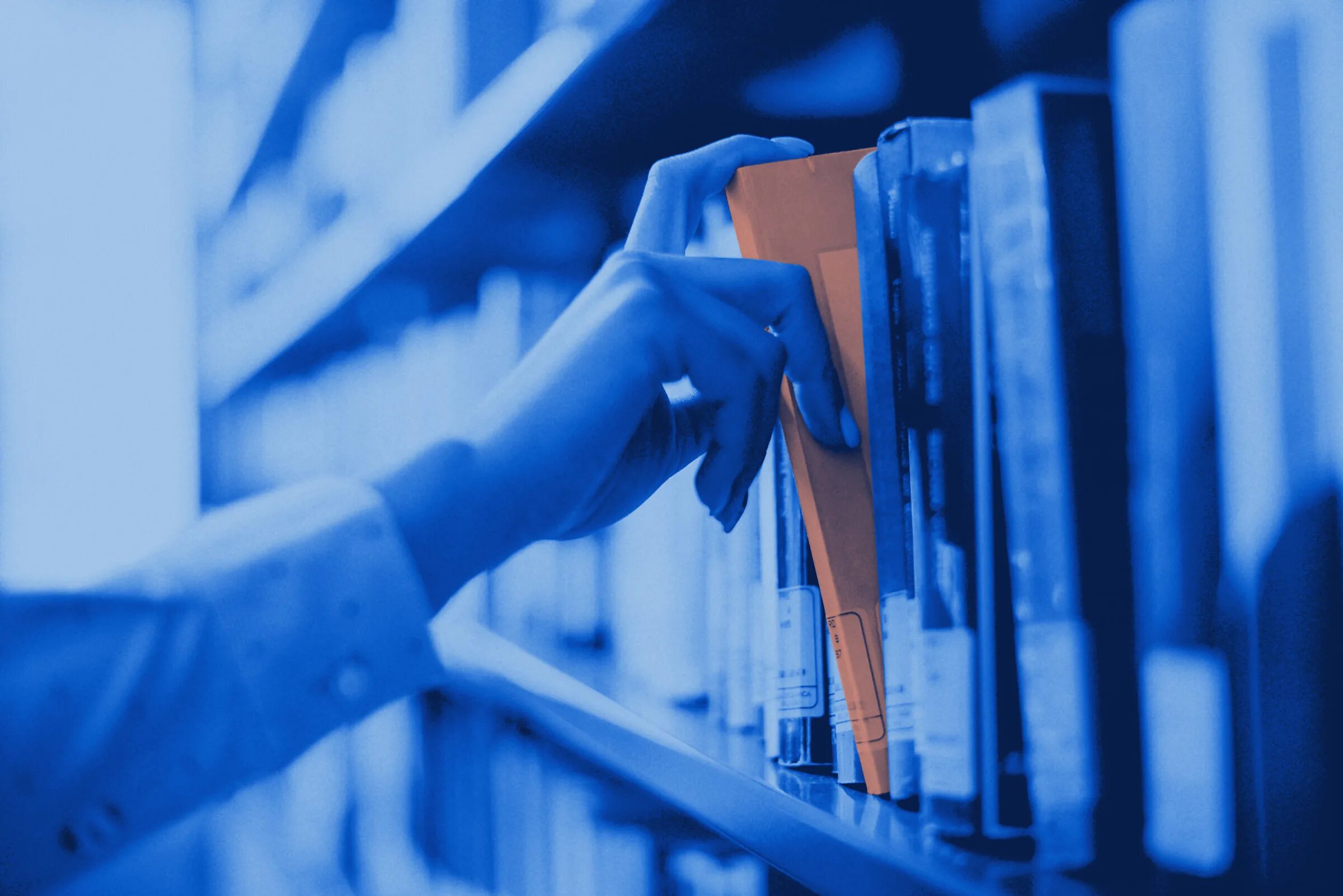 Много выборов книг. Выбор книга. книги сток. библиотекарь сток. выбор книги картинка.