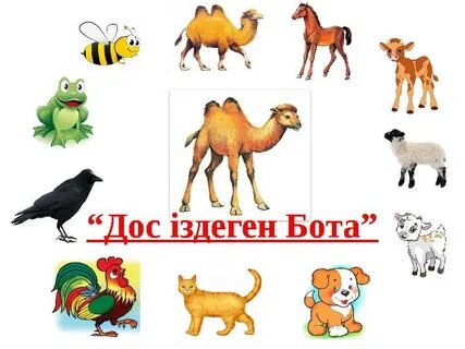 Толық әйелдің ішіндегі сперманың порно видеосы