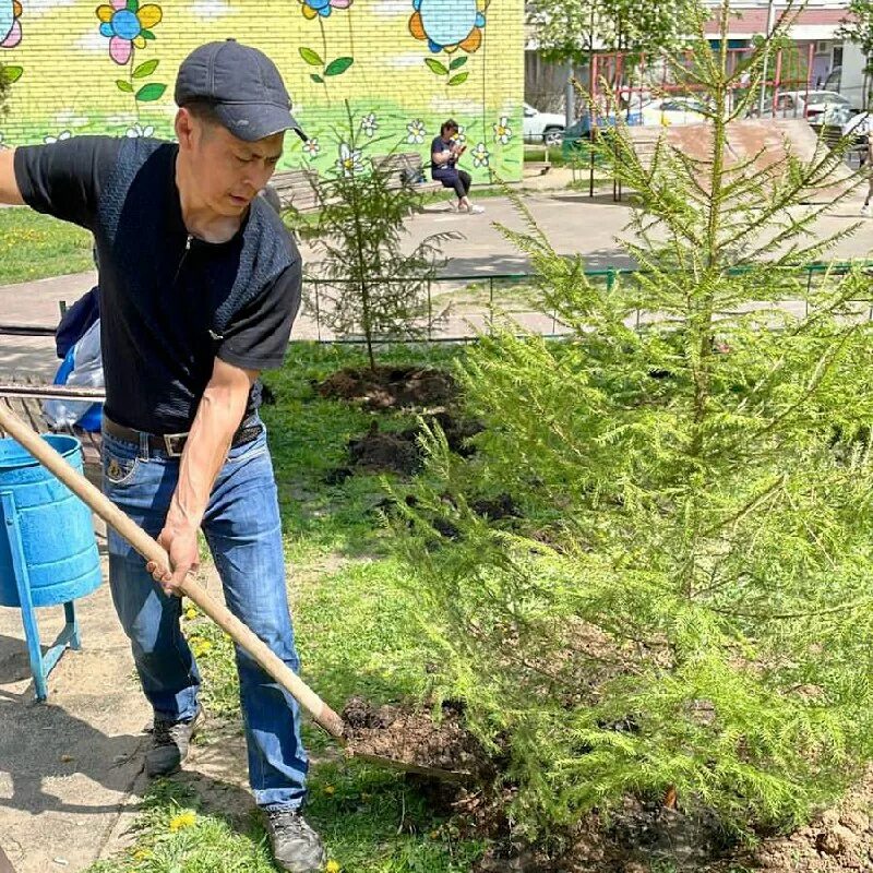 управляющие компании бутово