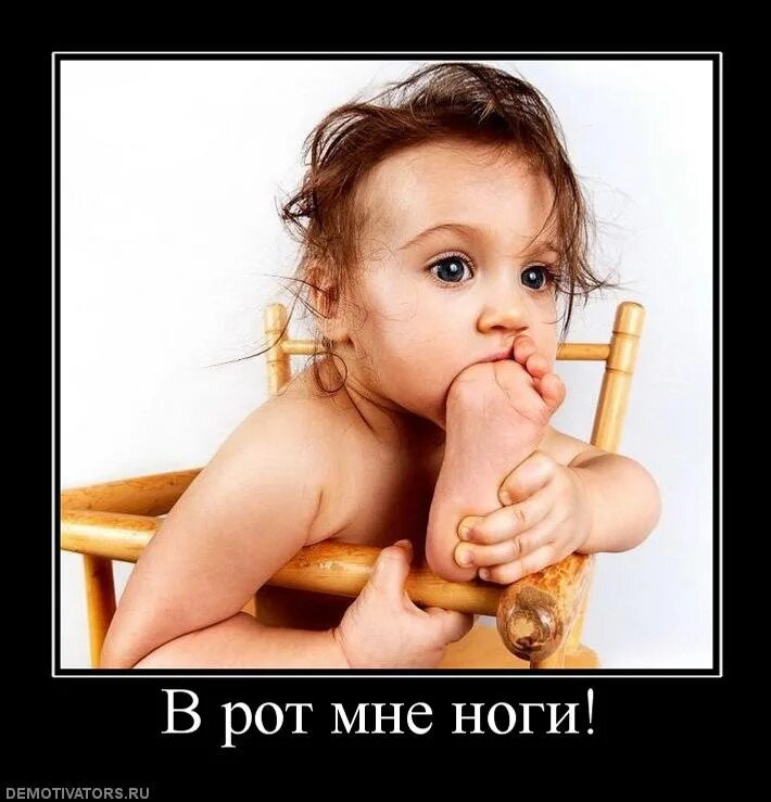 Вротмненоги livejournal журнал