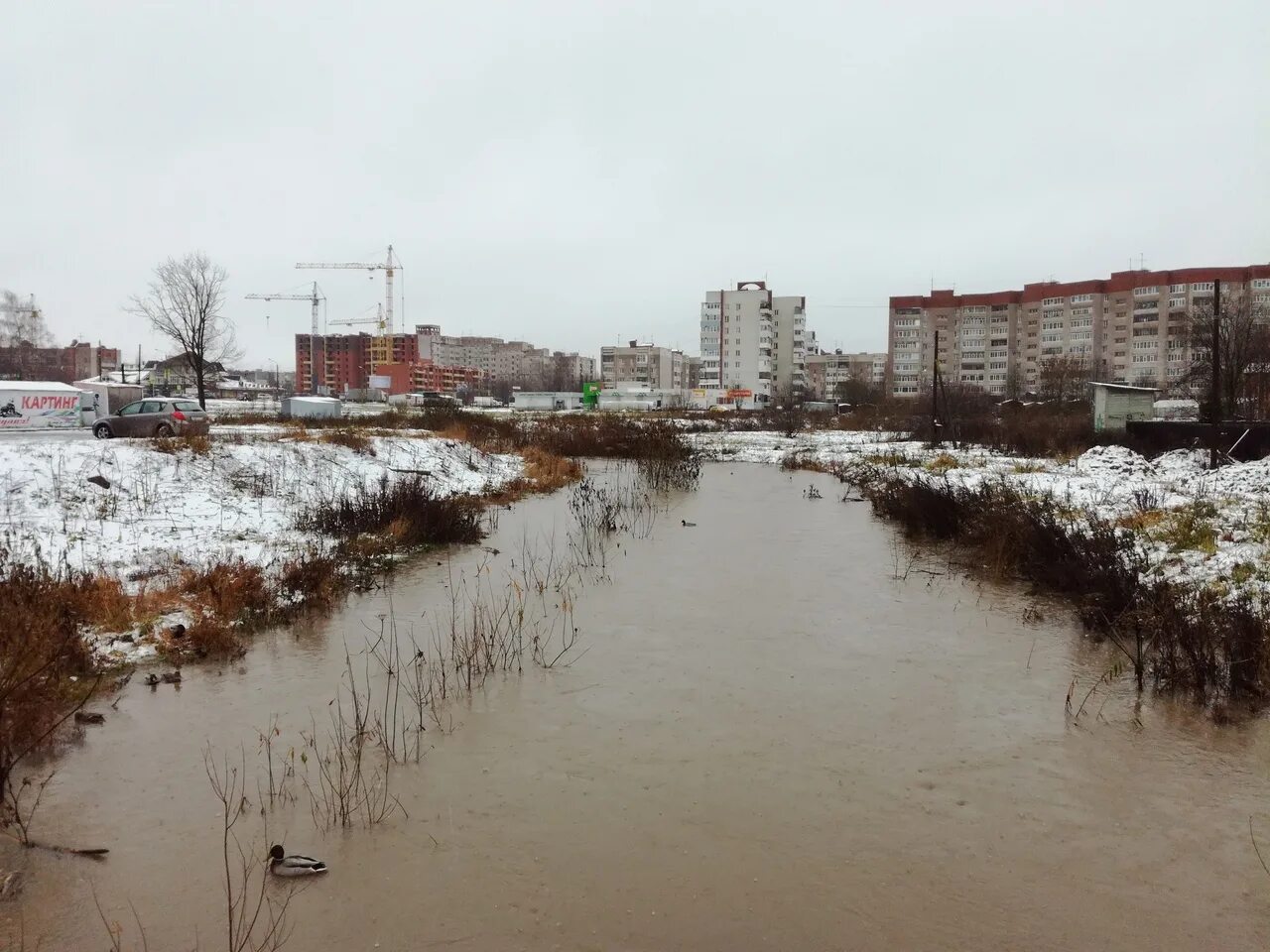 Река Шограш Вологда. Река Шограш Вологда Конева. Водохранилище Шограш Вологда. Вологда река Содема. Уровень воды в реке вологда сегодня