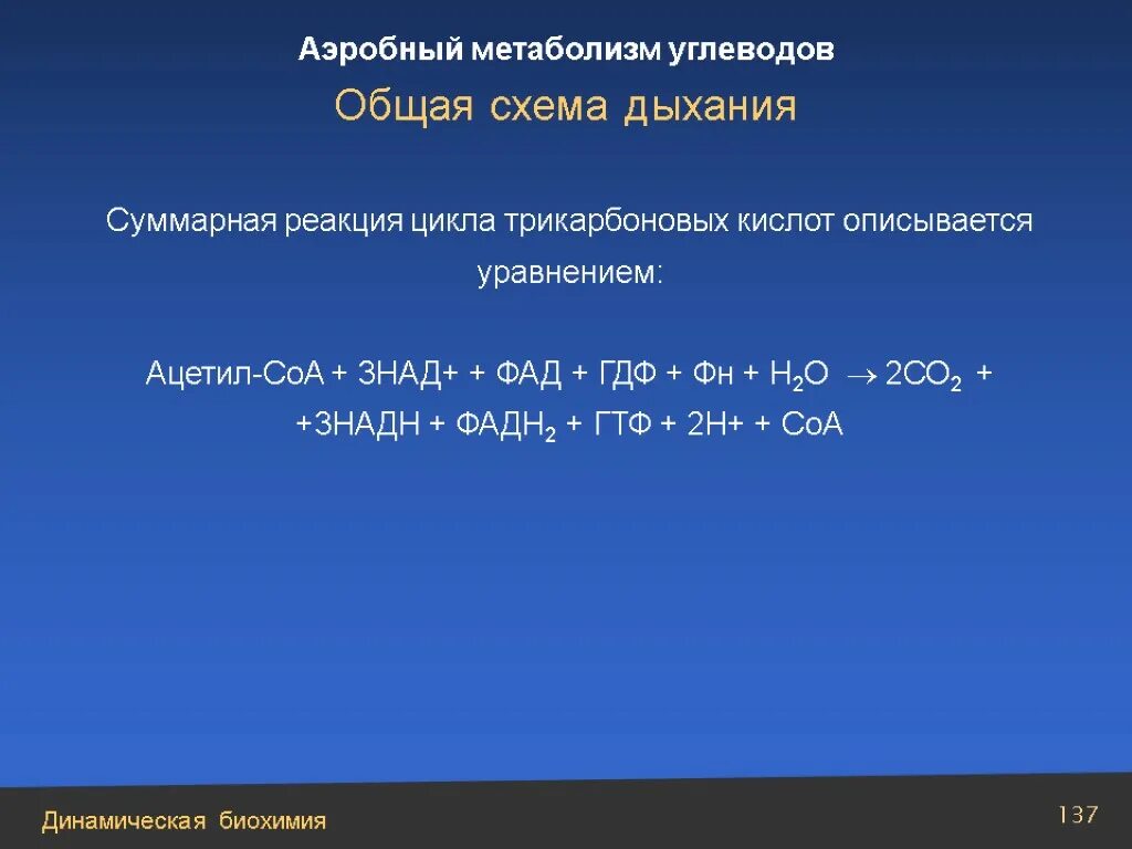 Суммарная реакция цикла трикарбоновых кислот