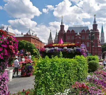 Цветочки москва