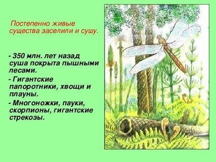 Постепенно живо