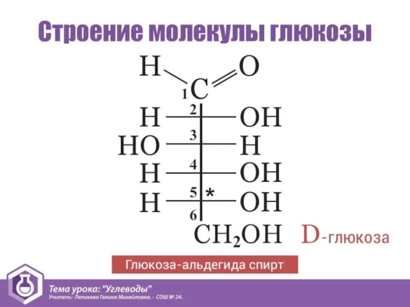 Углеводы самостоятельная работа 10 класс химия. Структура строение углеводов. Химическое строение углеводов. Особенности строения молекул углеводов. Углеводы строение молекулы.