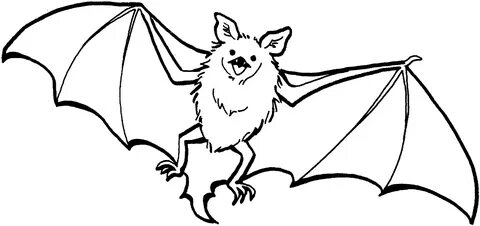 Bat black and white vampire bat clipart 