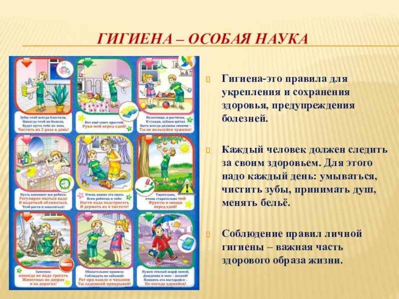 Гигиена вывод. Наука о сохранении здоровья 3 класс. Наука о сохранении здоровья 3 класс. Наука о сохранении здоровья 3 класс. Гигиена наука о сохранении и укреплении здоровья.