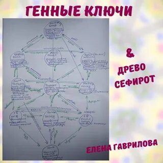 Древо жизни ключ