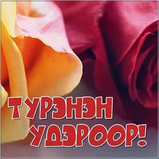 Пожелания на бурятском языке