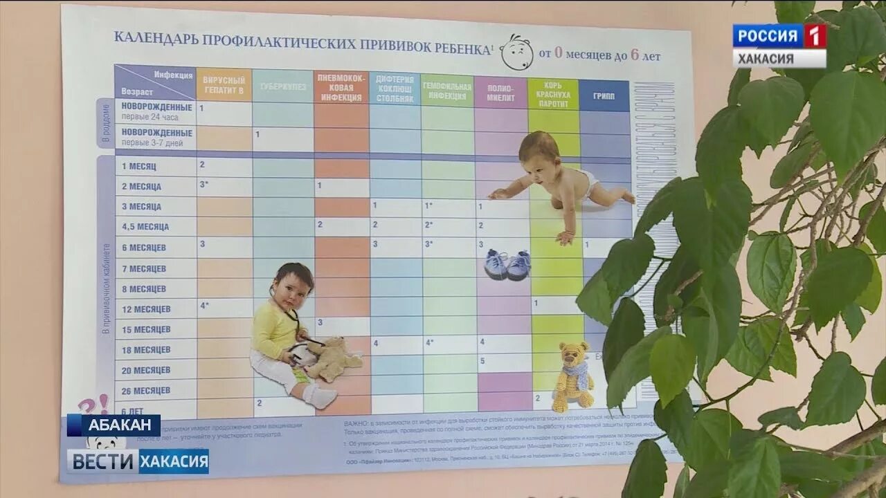 Календарь прививок. Профилактические прививки. Национальный календарь прививок для детей в России. Профилактические прививки детям.