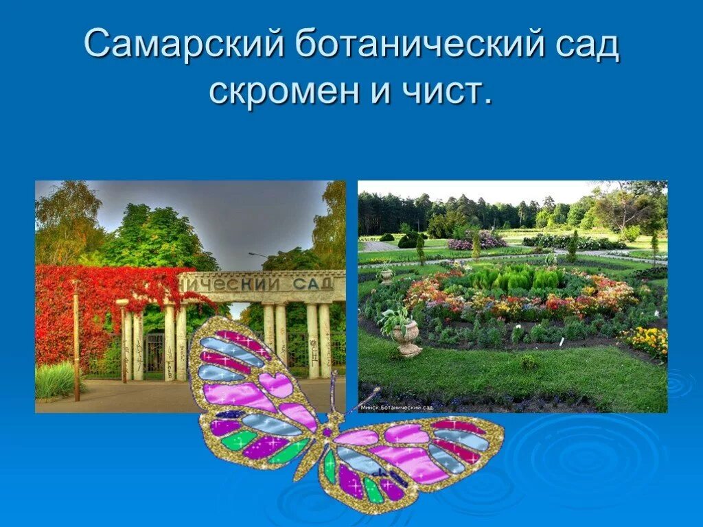 В ботаническом саду 1 класс. Ботанический сад окружающий мир 1 класс. самарский ботанический сад презентация. презентация на тему ботанический сад. сообщение о ботаническом саде.