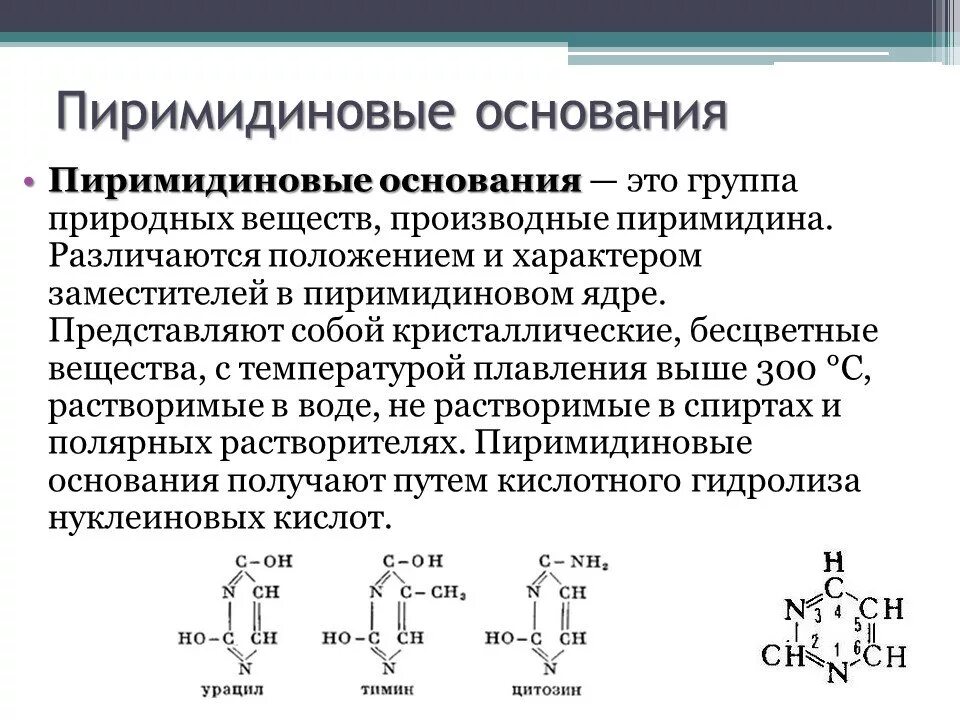 Основание различия. Пуриновые основания и пиримидиновые основания. Пуриновые и пиримидиновые. Структура и функция пуриновых и пиримидиновых азотистых оснований. Пуриновые или пиримидиновые основания.