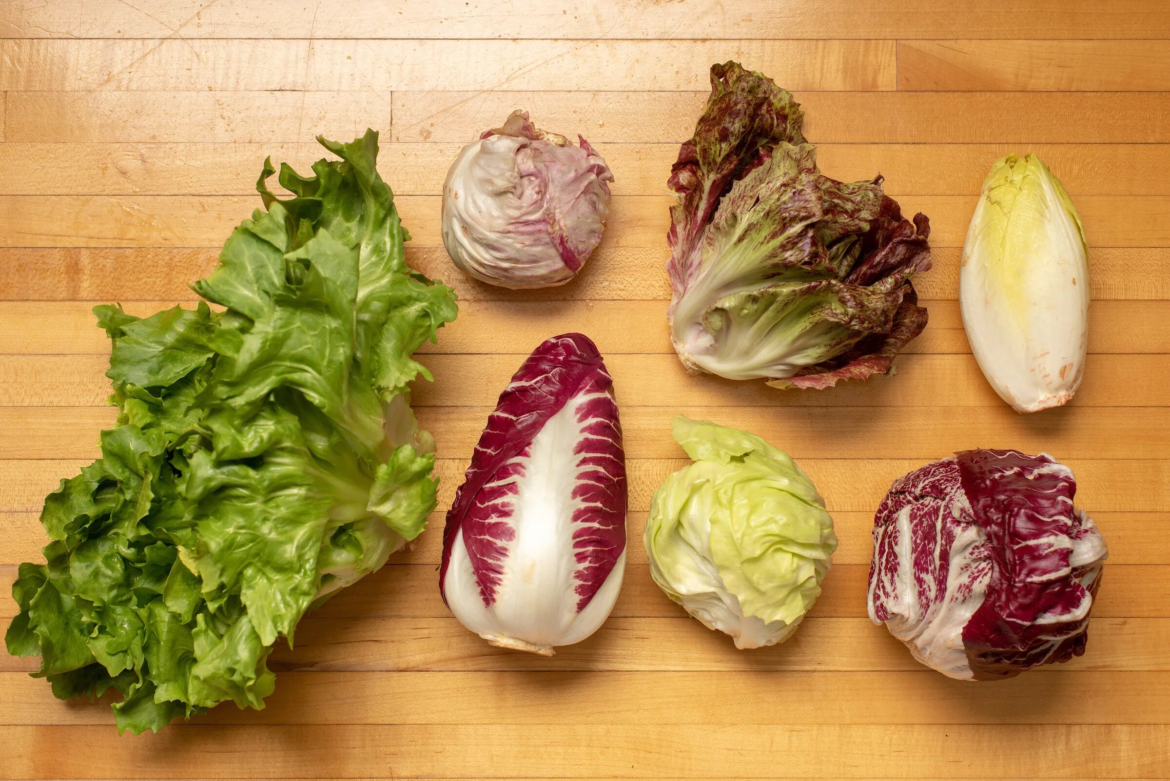 Радичио салат фото как выглядит. Как выращивать салат радичио 80.