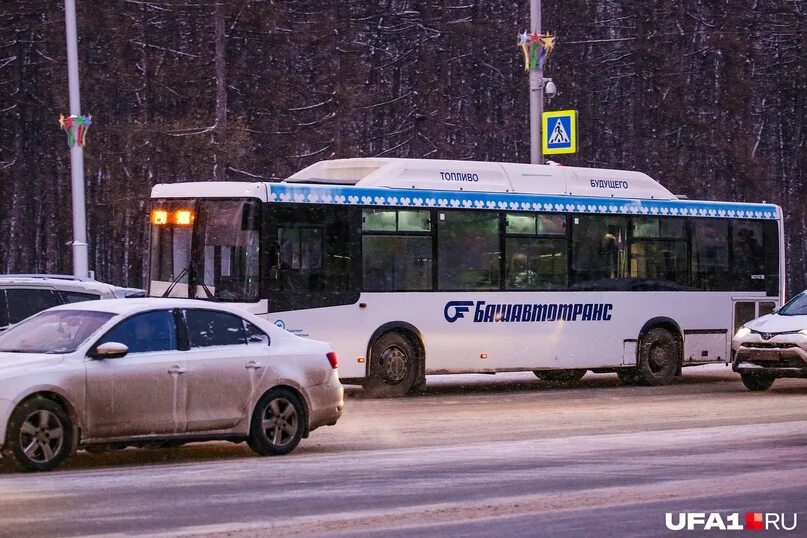 Отслеживание башавтотранс. Башавтотранс автовокзал уфа. автобусы башавтотранс уфа. микроавтобус башавтотранс. новые автобусы башавтотранс.