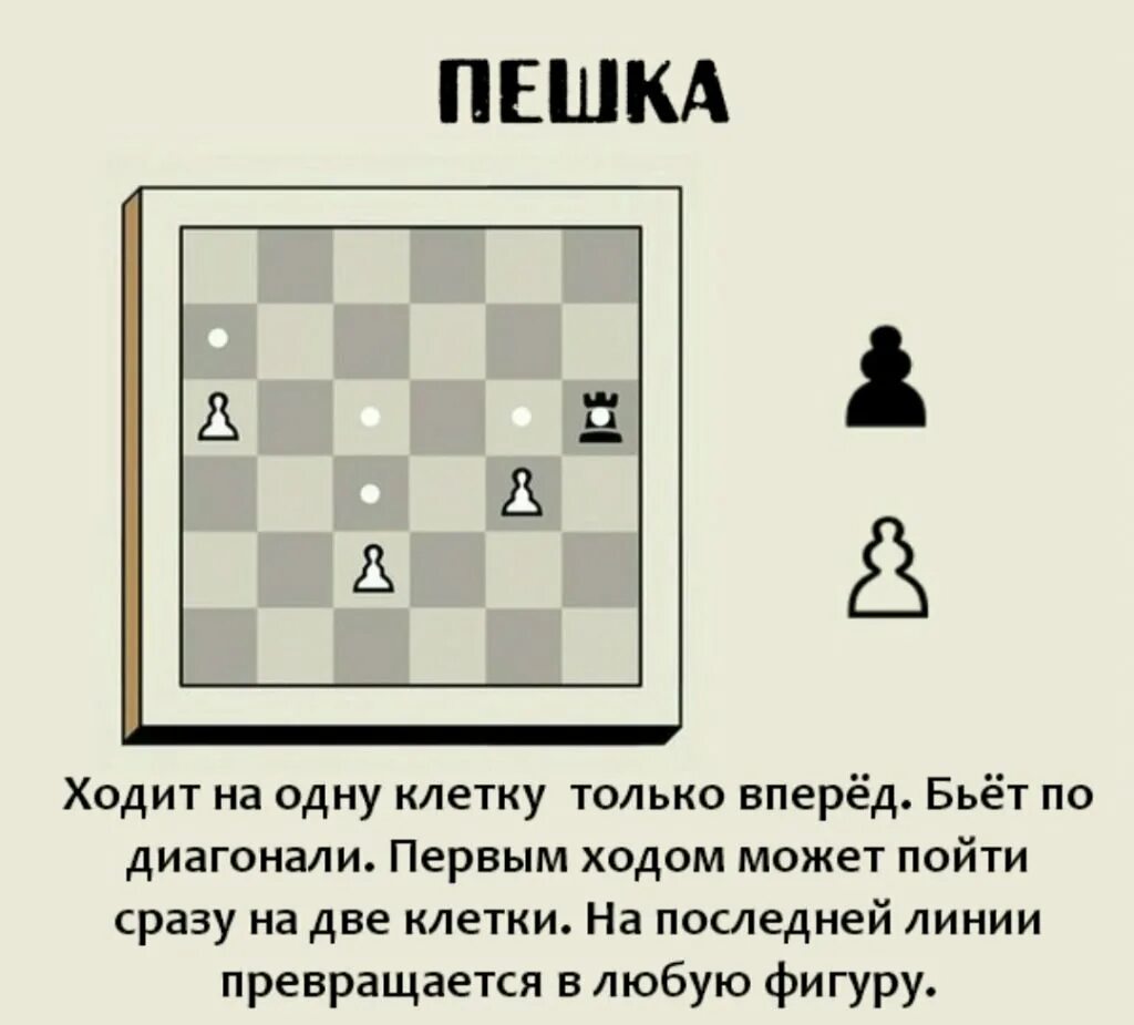 Положение в шахматах 8 букв. Правила игры в шахматы для начинающих как ходят фигуры. Правила в шахматах для начинающих как ходят фигуры. Как ходят фигуры в шахматах для новичков детей. Как в шахматах ходят фигуры для новичков шахматы правила.