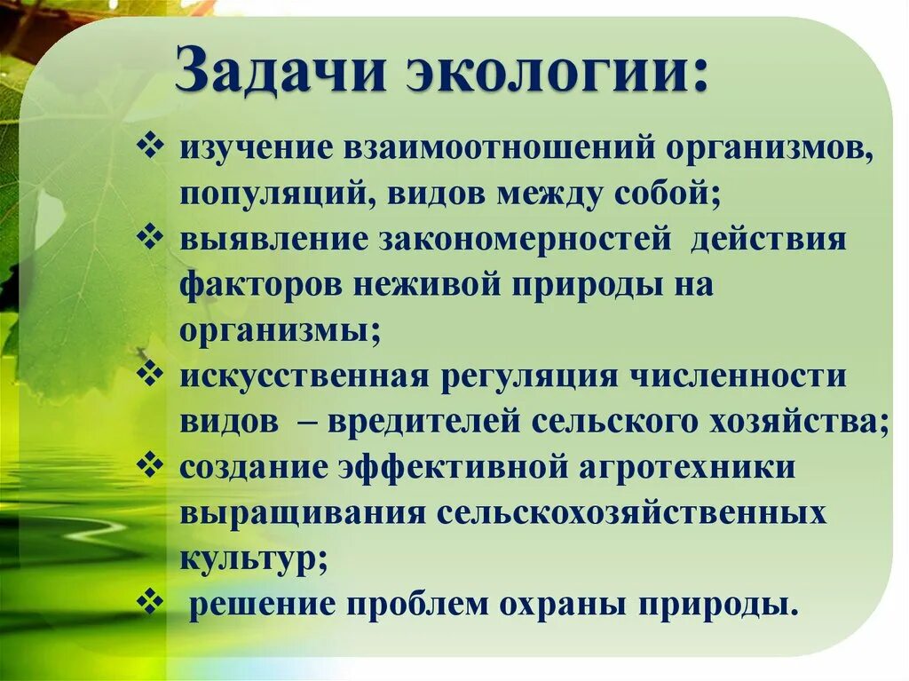 Задачи экологии. Перечислите основные задачи экологии. Экология задачи экологии. Задачи изучения экологии.