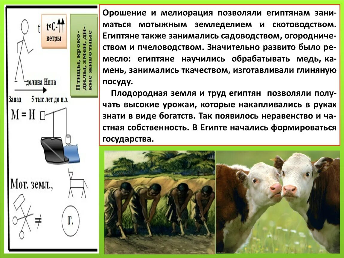 Объясните значение слова орошение история 5 класс. Объясните значение слова орошение история 5 класс