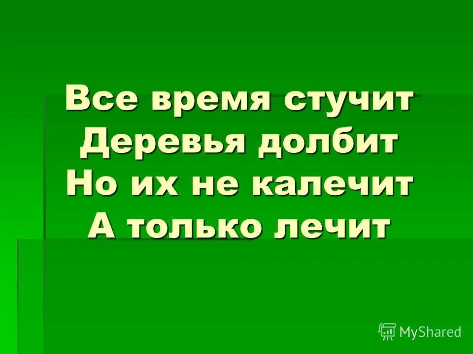 Стучит какое время. Стучит какое время. Загадка про часы. Стучит какое время. Кто стучит по дереву птица.